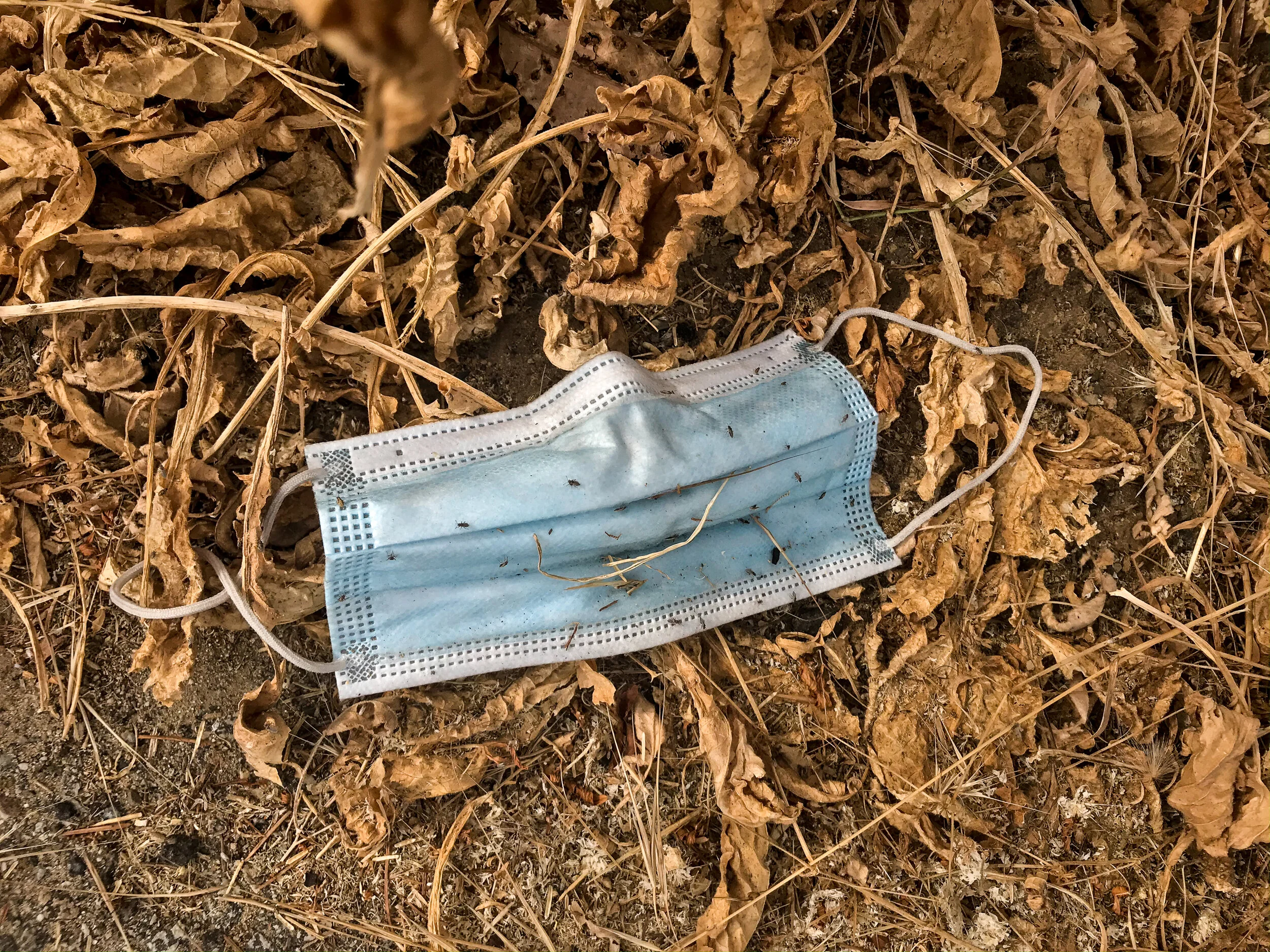  ‘We Are Still Sick, and We Are Ready to Act’ A Covid Community Struggles to Be Born. 