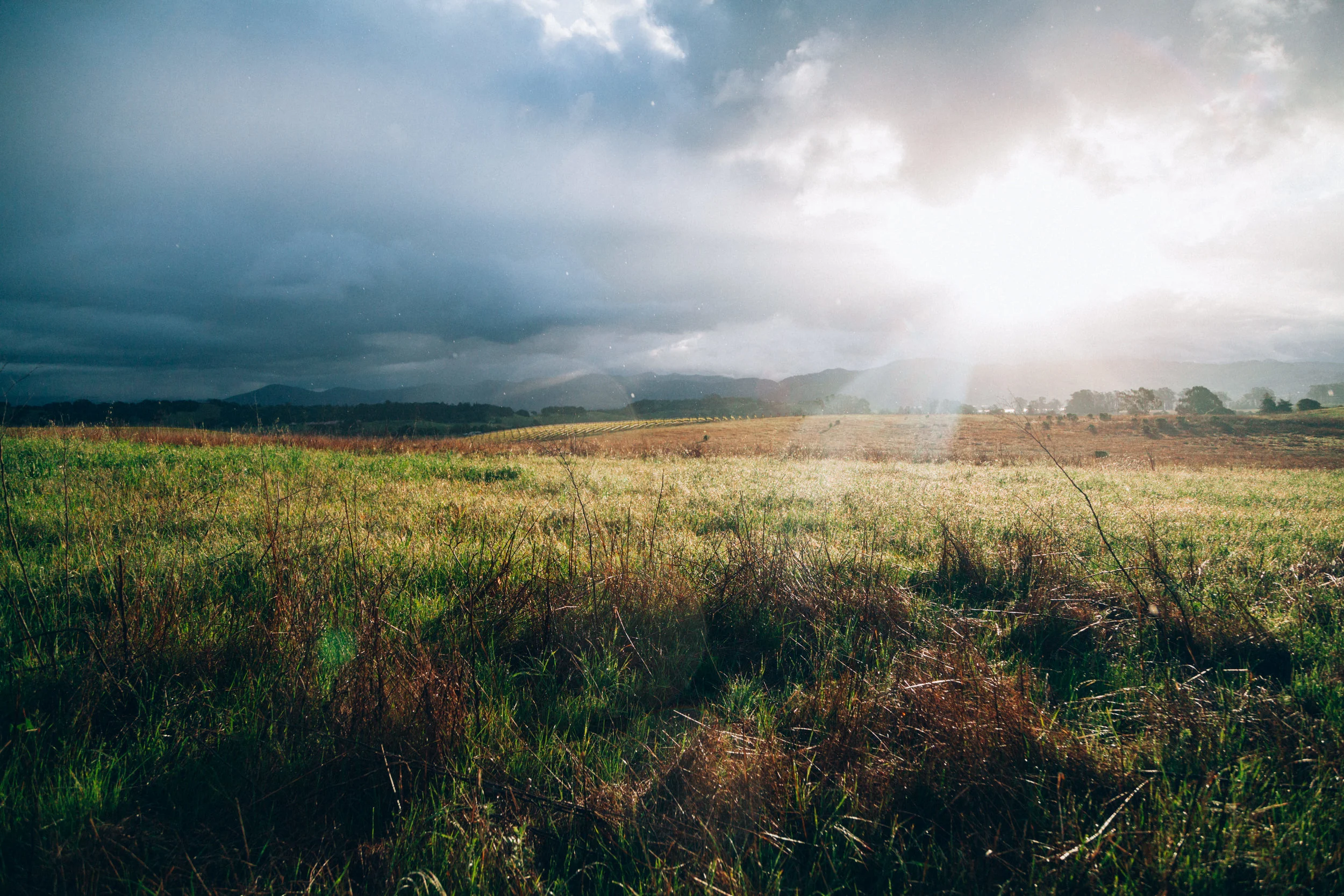 sunstreaks-field.jpeg