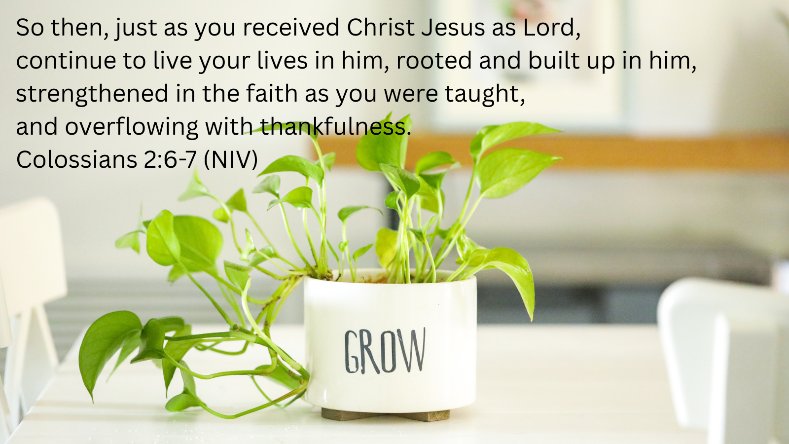 green houseplant on a table in a pot inscribed with GROW and a quotation of Colossians 2:6-7, NIV