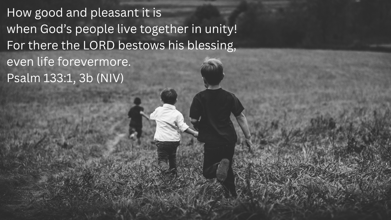 three boys playing in a field with a quotation of Psalm 133:1, 3b, NIV