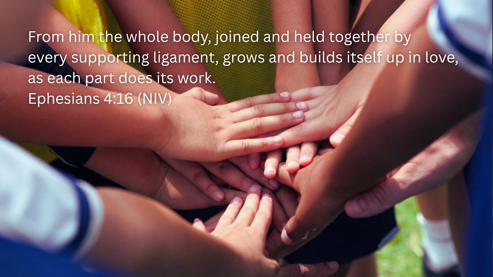children with hands stacked in a circle and a quotation of Ephesians 4:16, NIV