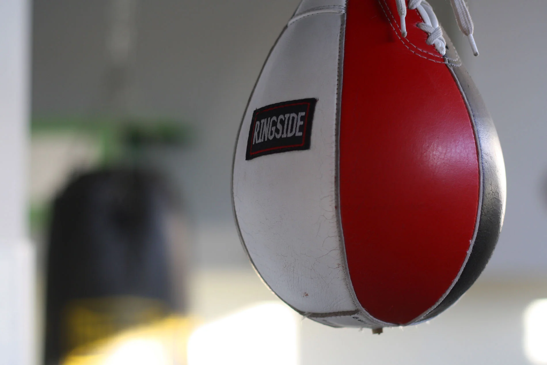 Leading SAFe 4.6 with SA Certification