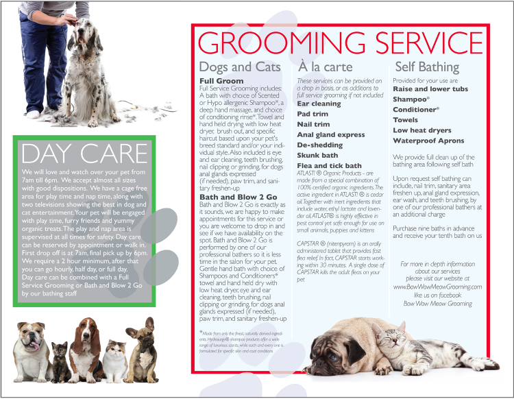 Bow Wow Meow trifold Brochure