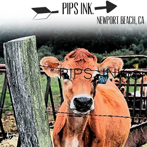 pipsink.com