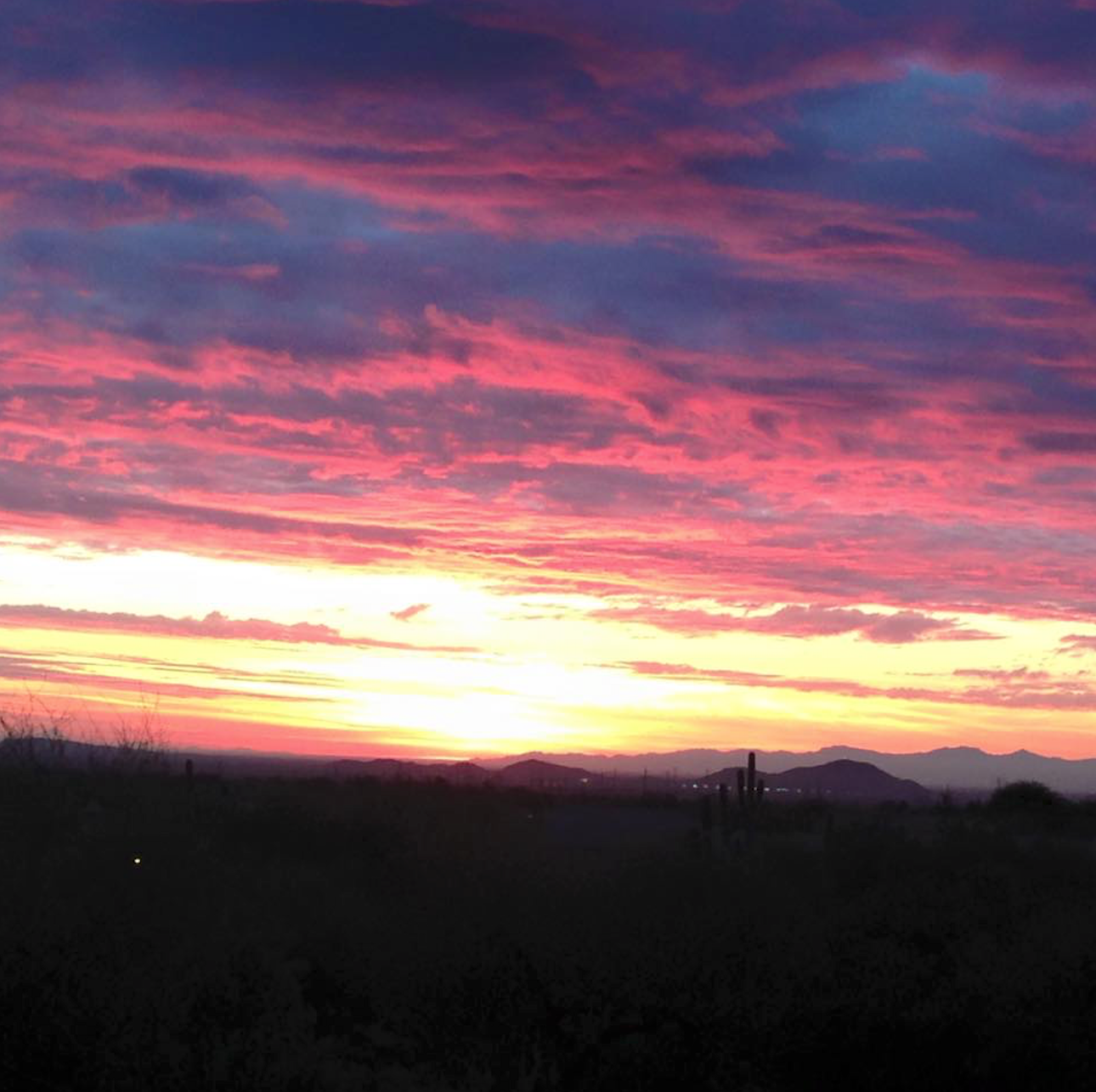 A gorgeous Arizona sunset! 