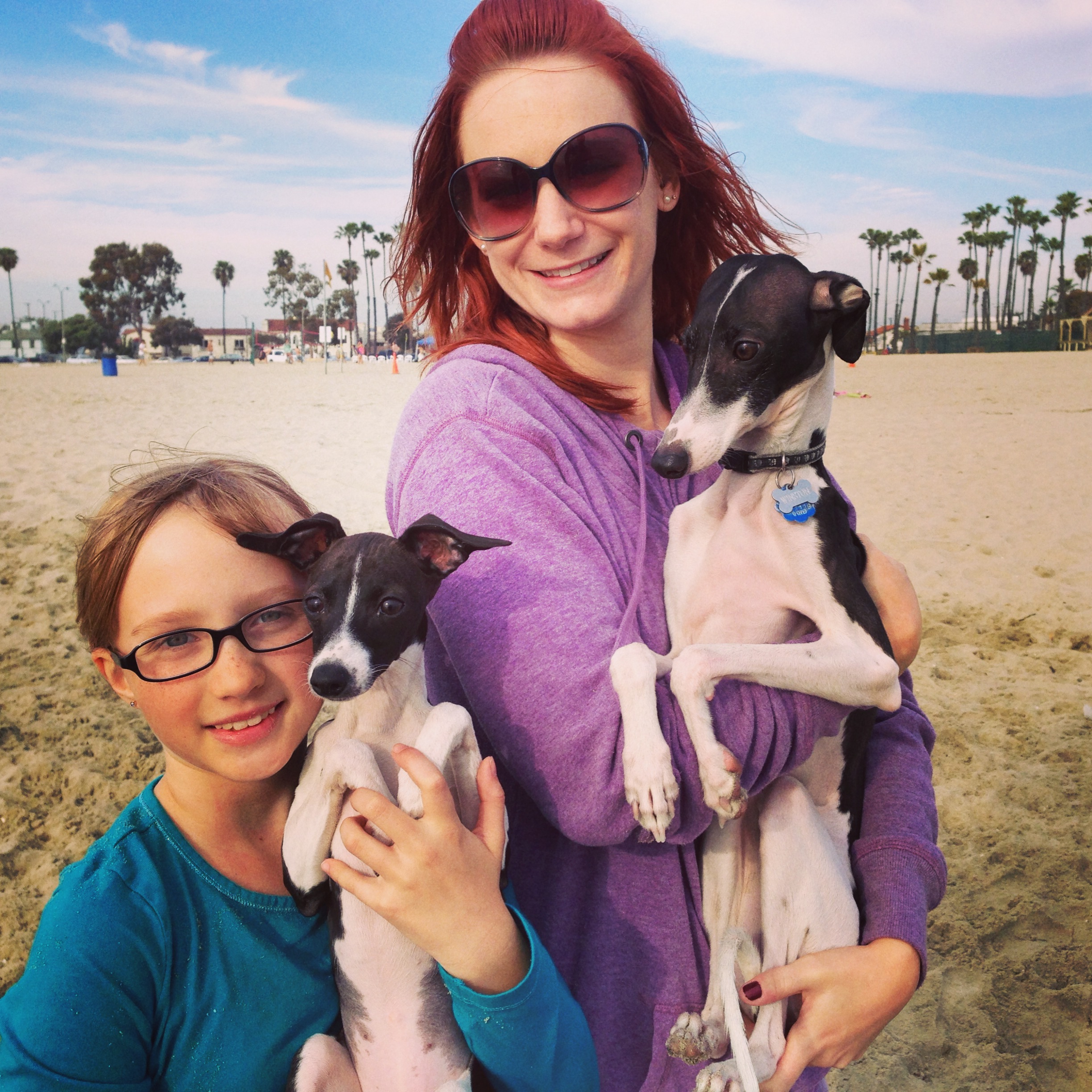 Melissa Shipley and her Italian Greyhound Winston at the beach where they met a fellow Italian Greyhound puppy! 