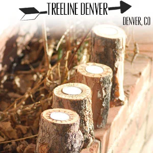 www.treelinedenver.com