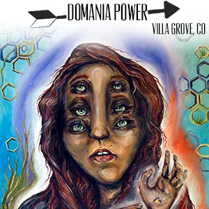 www.domaniapower.com