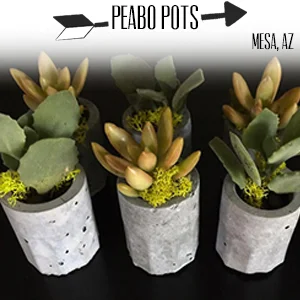 Peabo Pots.jpg
