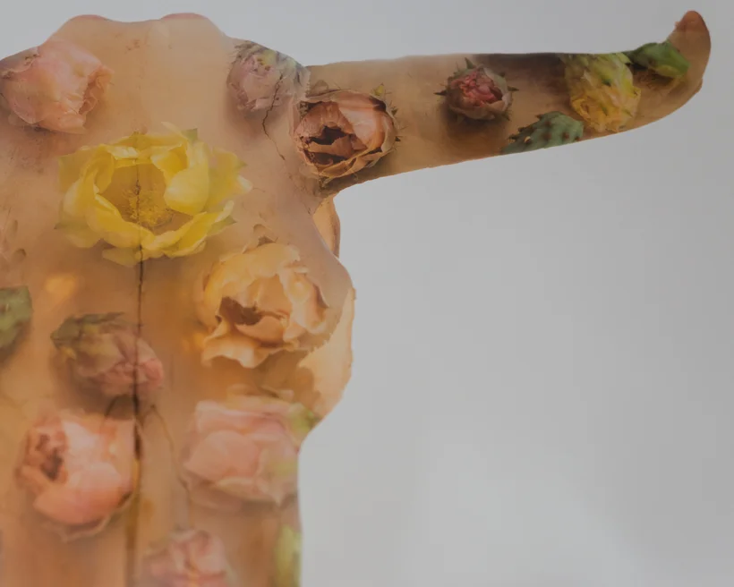 Phoenix Vendor Spotlight: Reagan Alexander Photography