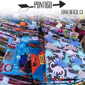 Pontigo.jpg