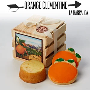 Orange Clementine.jpg