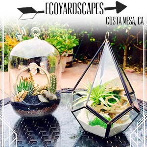 Ecoyardscapes.jpg