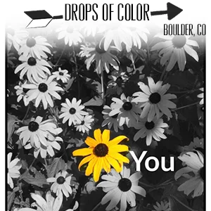 Drops of Color.jpg