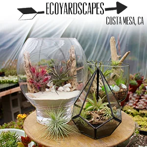 Ecoyardscapes.jpg