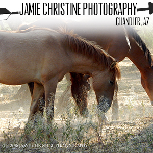 Jamie Christine Photography.jpg