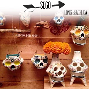 Sego.jpg