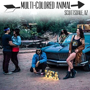 Multi Colored Animal.jpg
