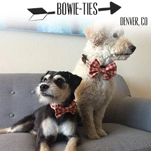 Bowie-Ties.jpg