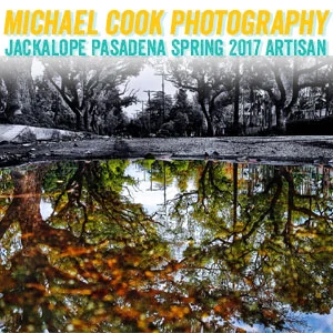 michaelcook.jpg