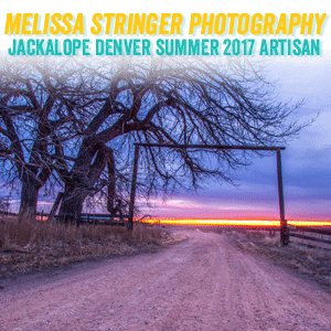 melissastringerART.gif