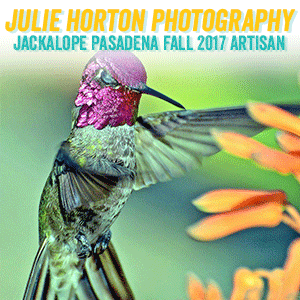juliehortonphotography.gif