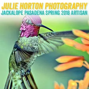 juliehorton.jpg