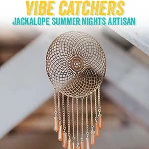 vibecatchers.jpg