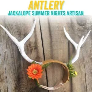 antlery.ACC.jpg