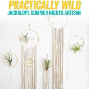 practicallywild.HOME.jpg