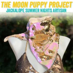 themoonpuppyproject.ACC.jpg