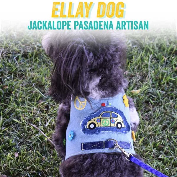 ellaydog.jpg