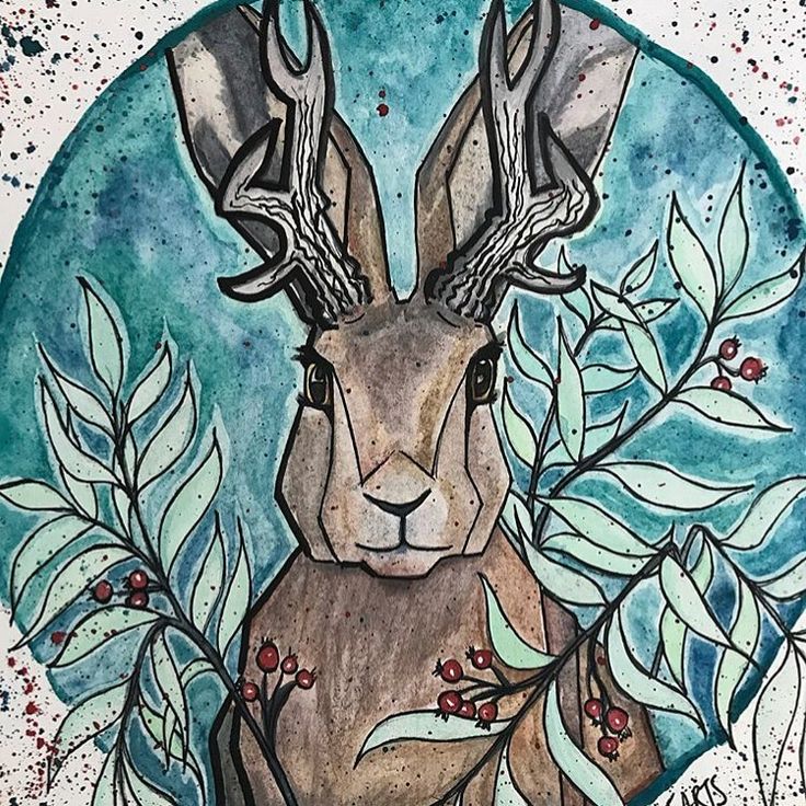 By Hannah Gunzner