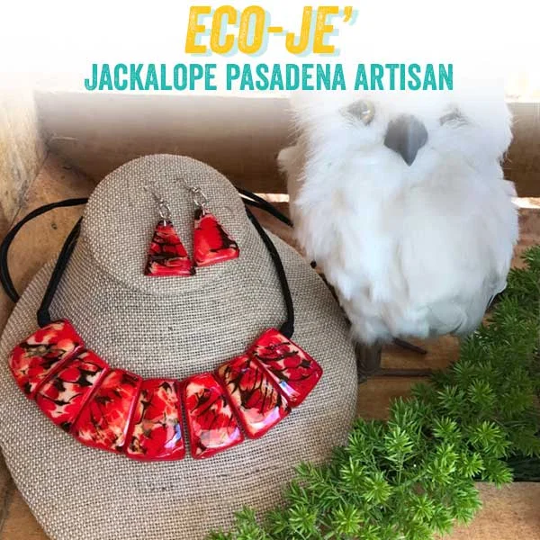 ecoje.jpg