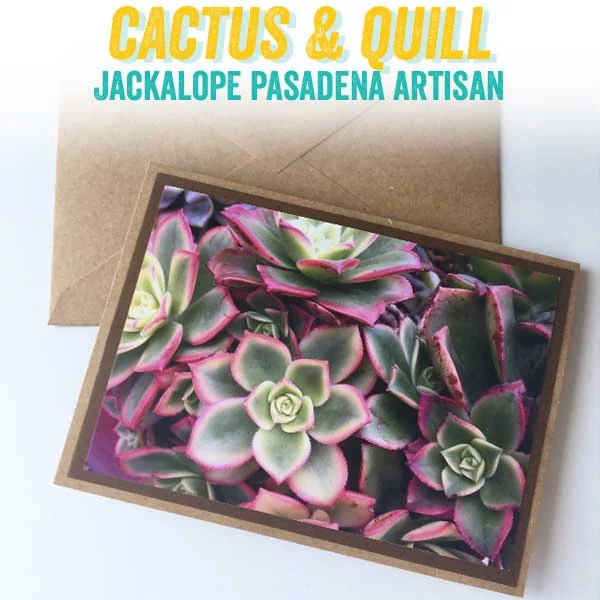 cactus-paper.jpg