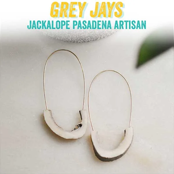 greyjays.jpg