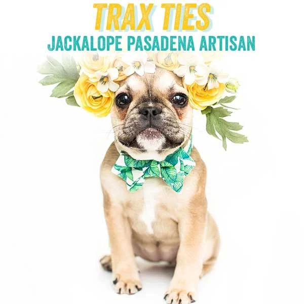 traxties.jpg