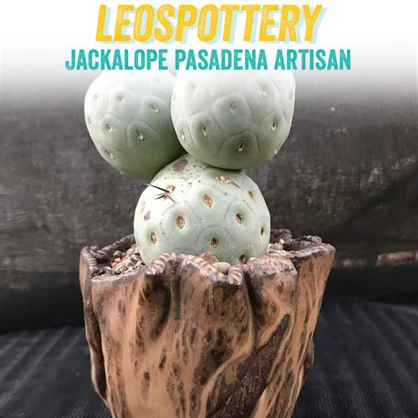 leospottery.jpg