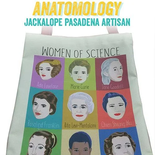 anatomology.jpg