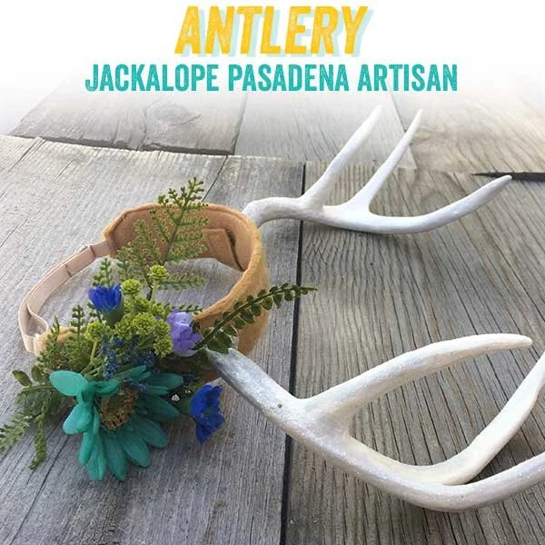 antlery.jpg