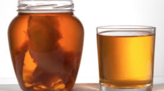Kombucha Making