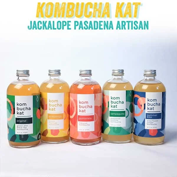kombuchakat.jpg