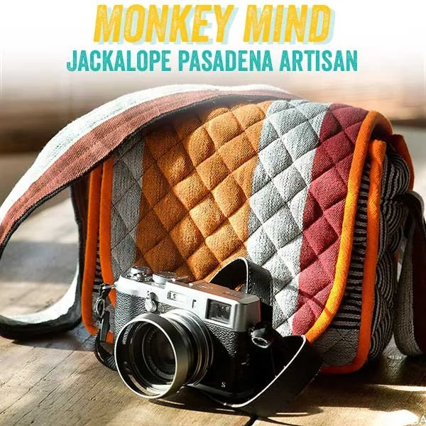 monkeymind.jpg