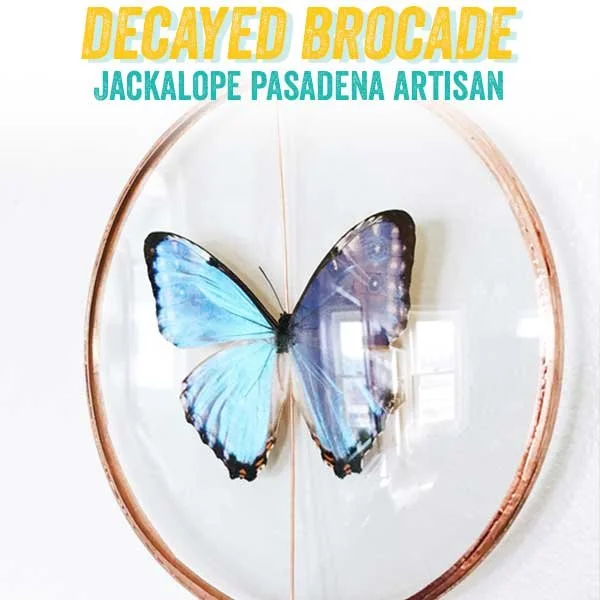 decayedbrocade.jpg