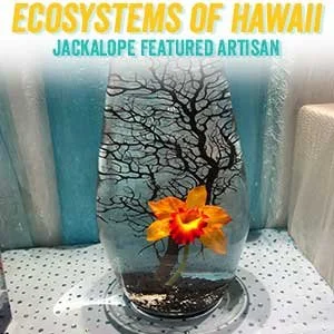 ecosystemsofhawaii.jpg