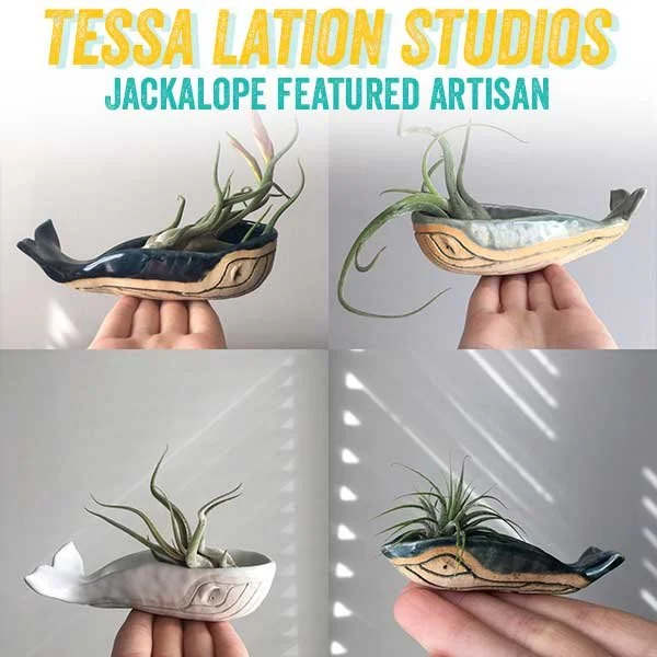 tessalation.jpg