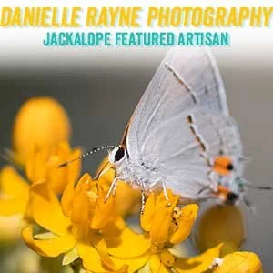 daniellerayne.jpg