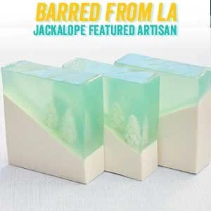 www.barredfromla.com (Copy)