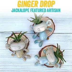 www.gingerdrop.com (Copy)