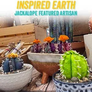 Inspiredearth.online (Copy)